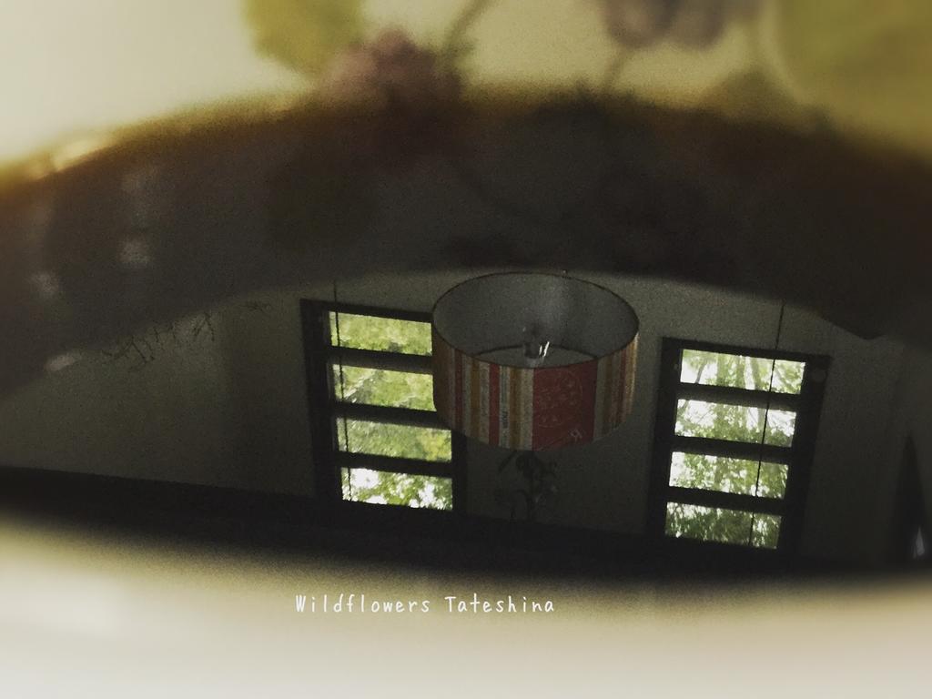 Pension Wildflowers Татесина Экстерьер фото