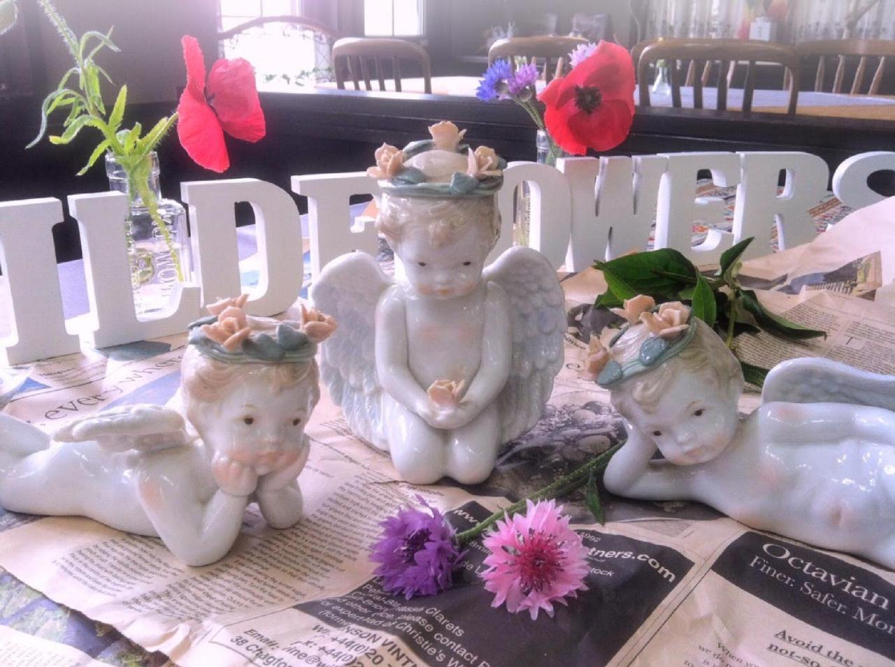Pension Wildflowers Татесина Экстерьер фото