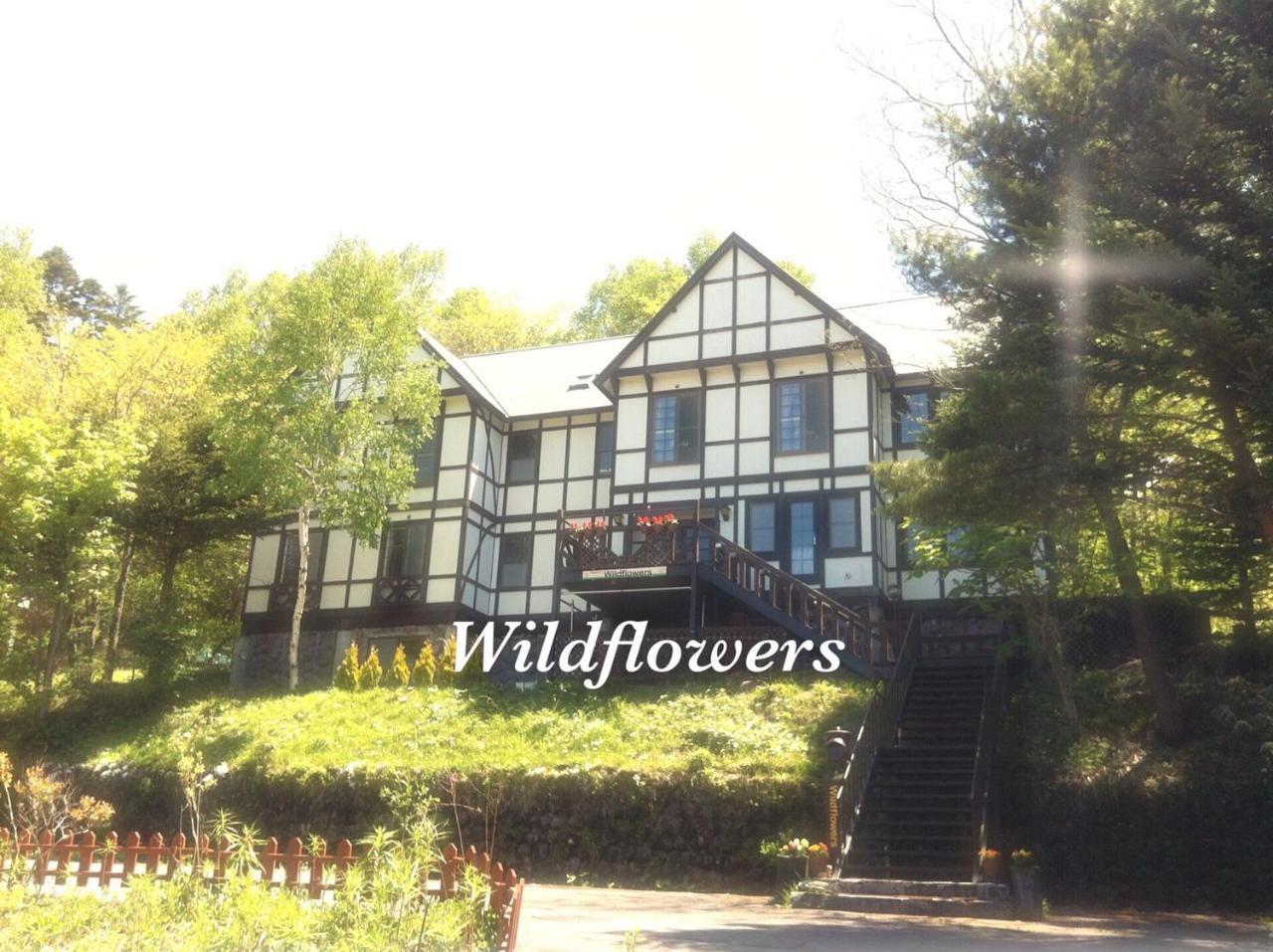 Pension Wildflowers Татесина Экстерьер фото