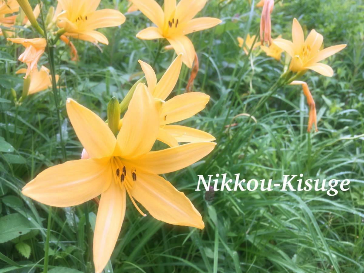 Pension Wildflowers Татесина Экстерьер фото