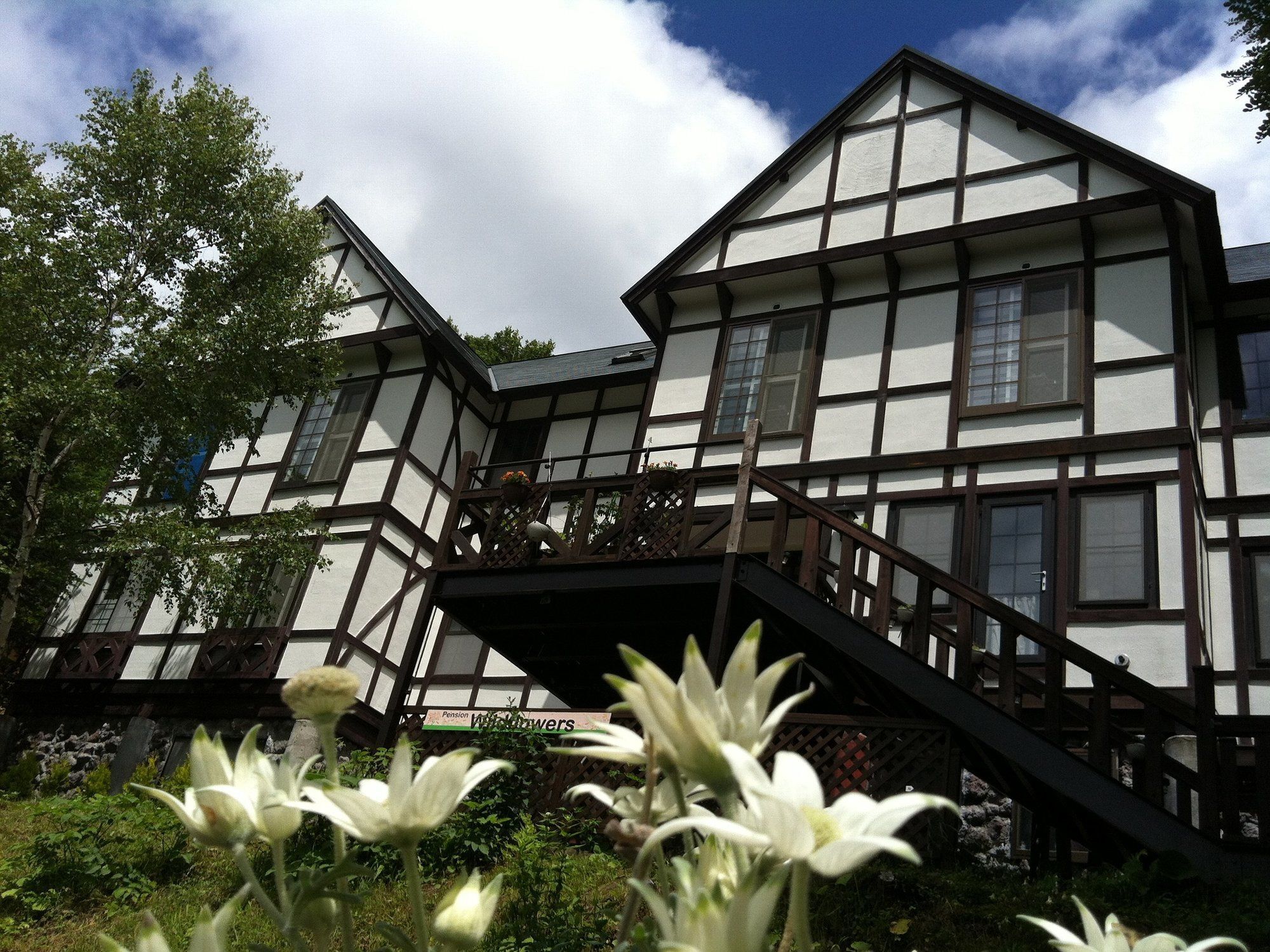 Pension Wildflowers Татесина Экстерьер фото