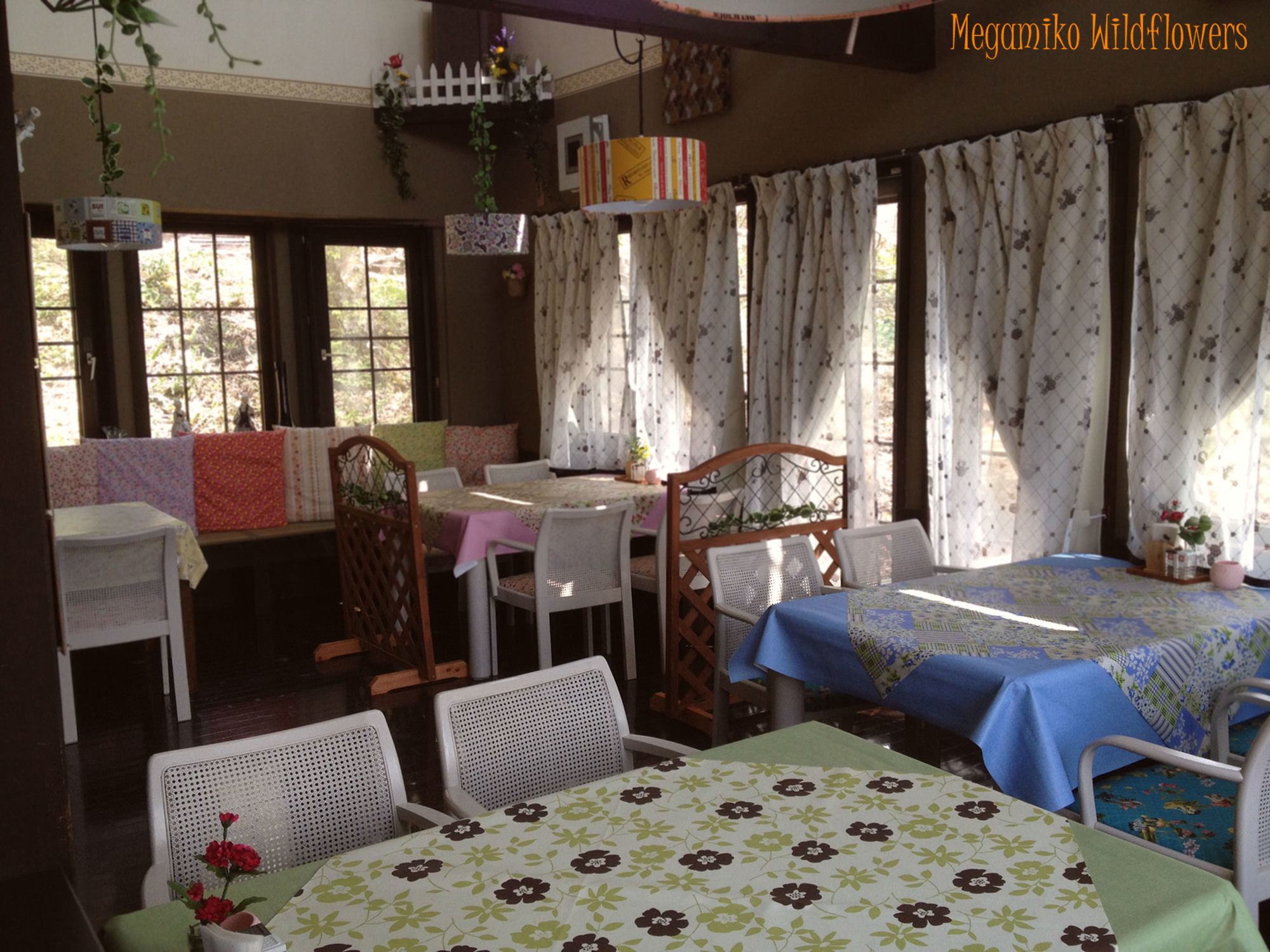 Pension Wildflowers Татесина Экстерьер фото
