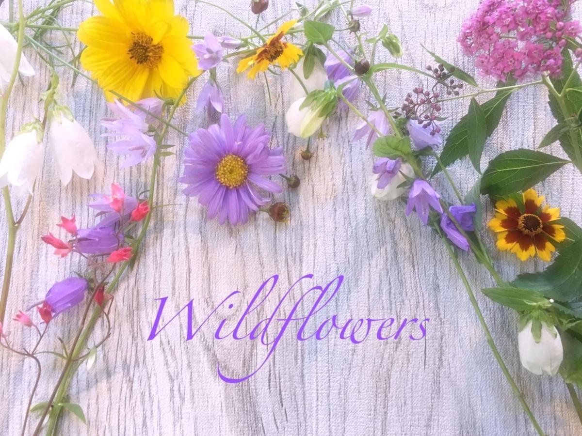 Pension Wildflowers Татесина Экстерьер фото