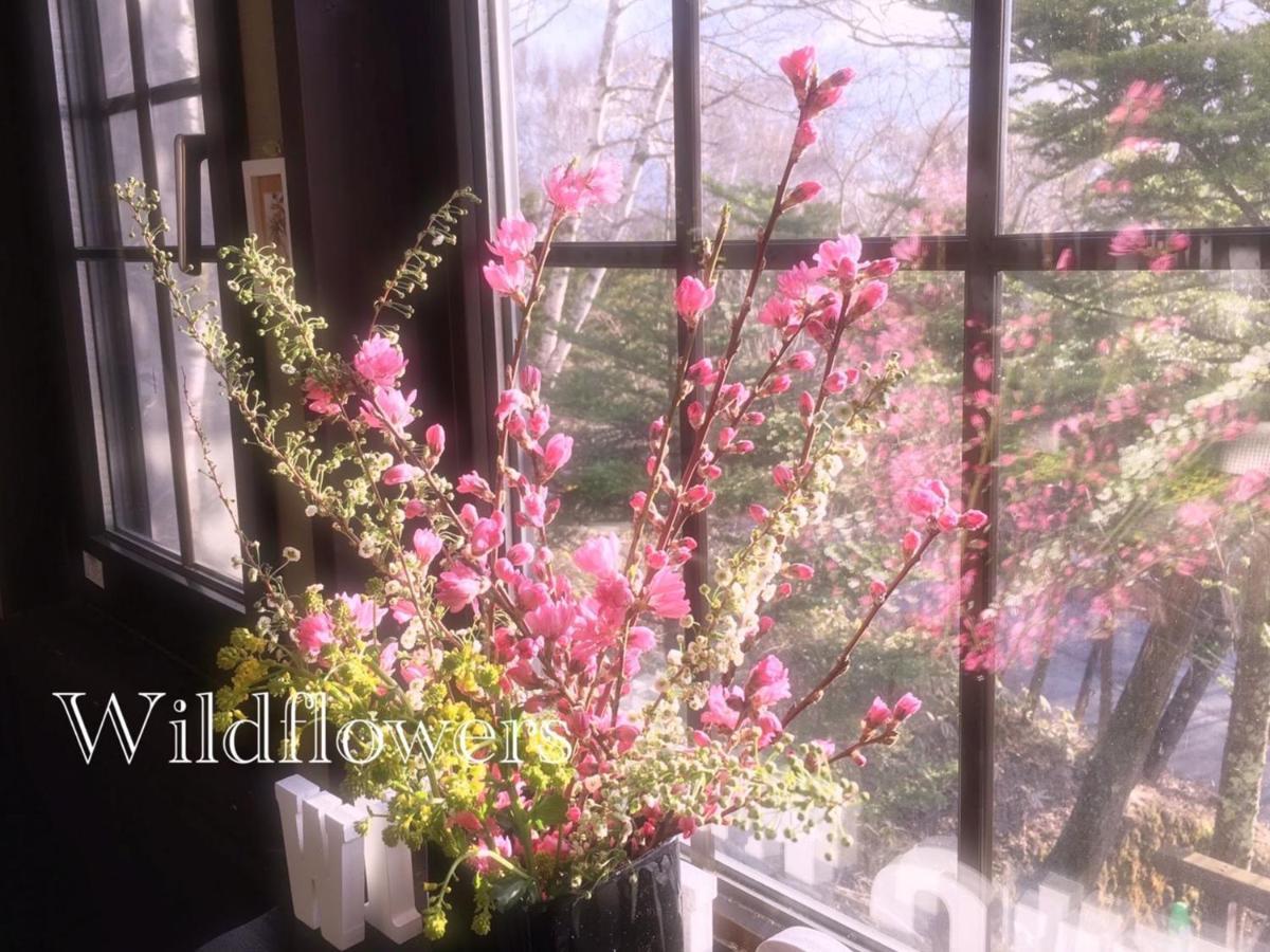 Pension Wildflowers Татесина Экстерьер фото