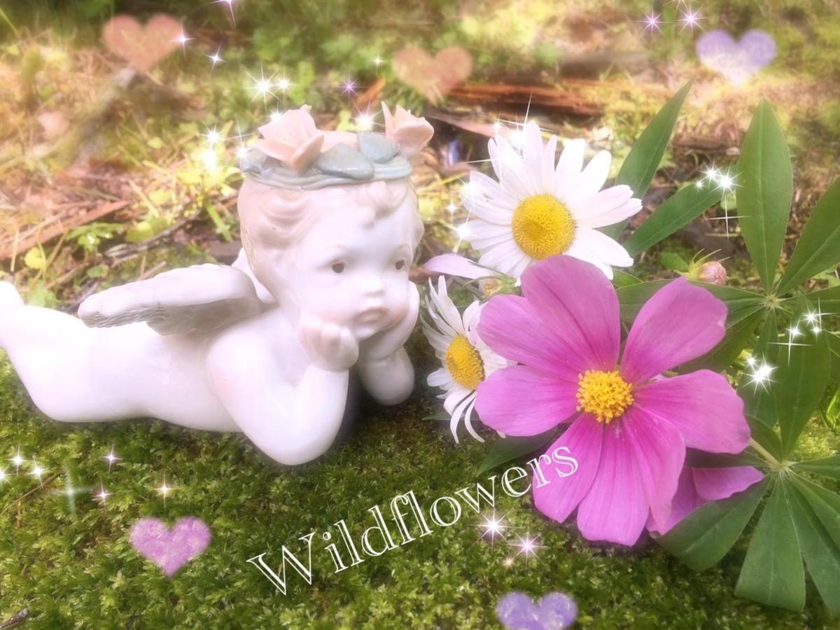 Pension Wildflowers Татесина Экстерьер фото
